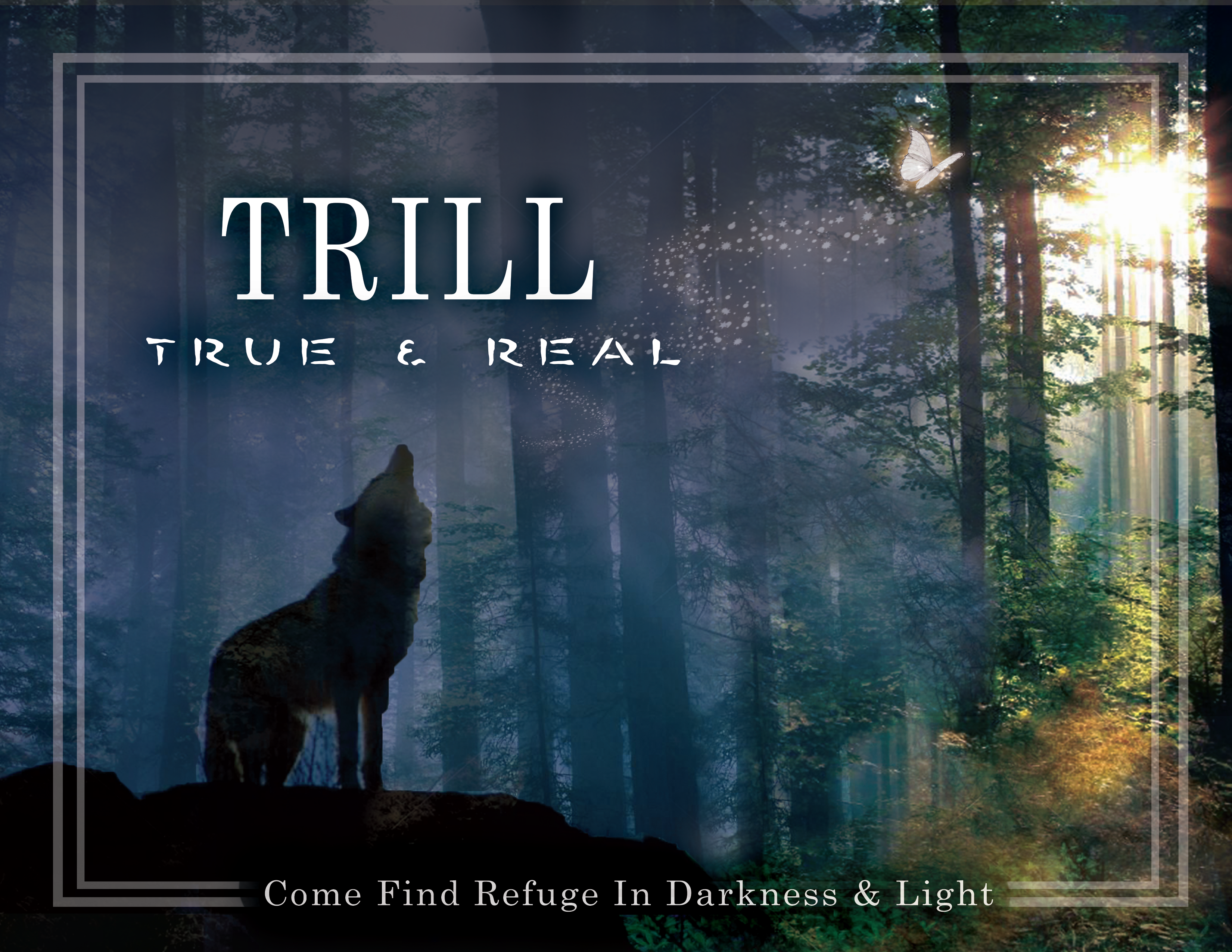 Trill (Addictions Prevention and Recovery)